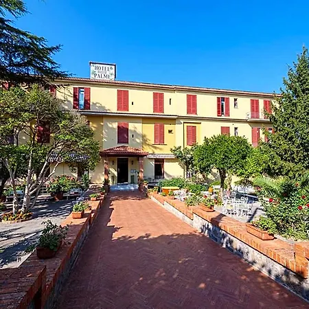Delle Palme 4*